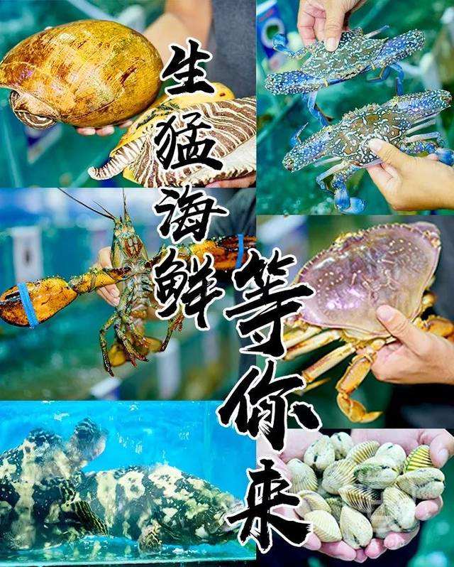 中國大部分的海鮮都是從代發(fā)貨這里批發(fā)？