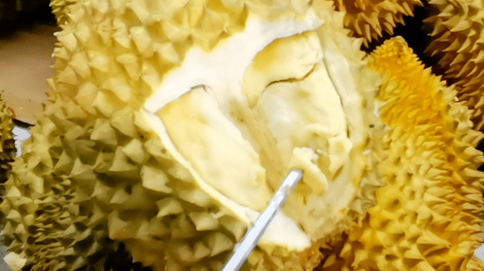水果店老板賣榴蓮時，就靠這幾種方法進(jìn)貨，一挑一個準(zhǔn)，很少賠錢