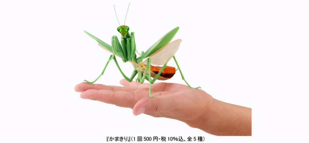 日本五大玩具公司業(yè)績(jī)《鬼滅之刃》帶動(dòng)壽屋，多美三麗鷗繼續(xù)虧損
