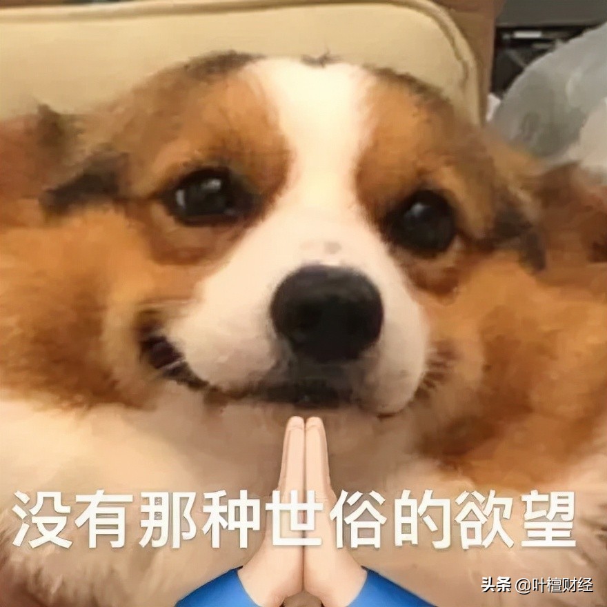 暴漲40倍！還買什么房子股票 都不如炒它香？