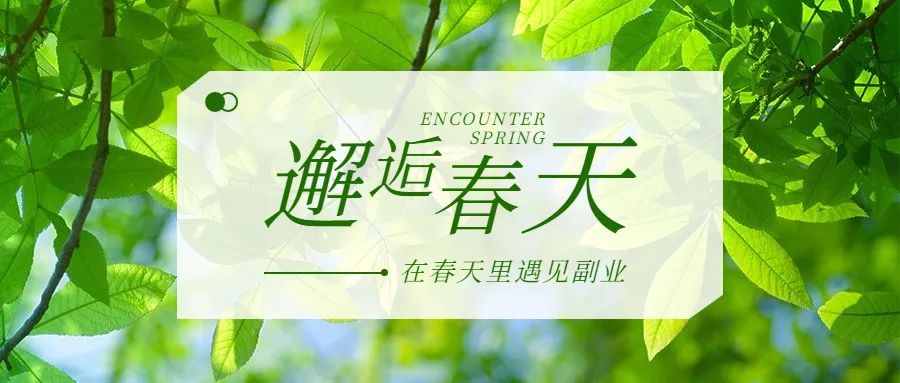 副業(yè)賺錢的路子有哪些？30個靠譜副業(yè)項目！