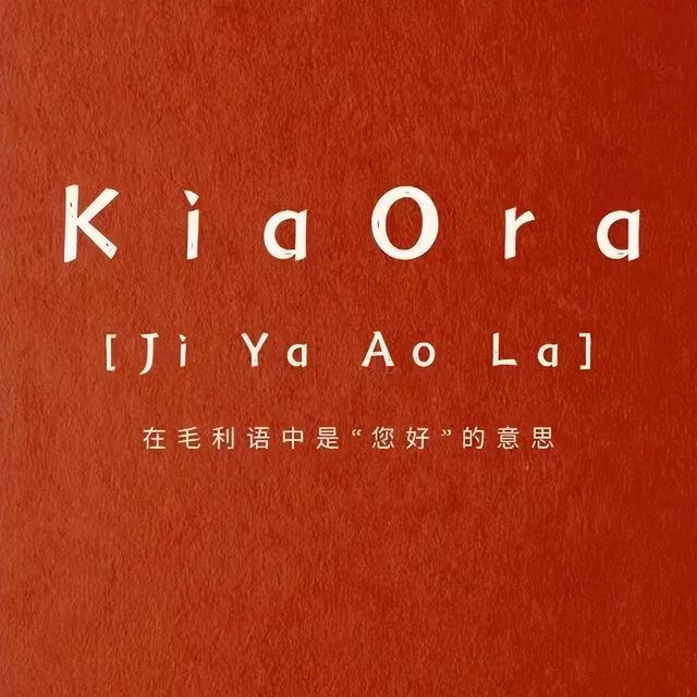 兩棵松樹(shù)是什么品牌電池（兩棵松樹(shù)是什么品牌衣服中文怎么讀）