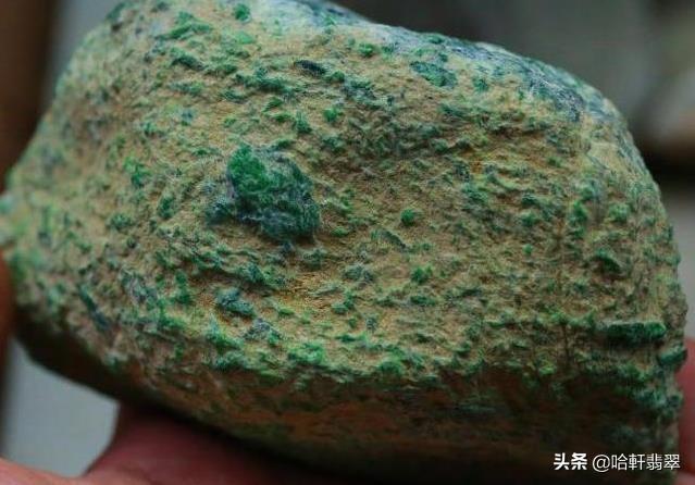 什么是開邊珠牛皮（開邊珠牛皮是牛皮嗎）