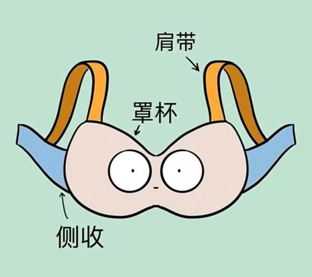 內(nèi)衣批發(fā)價(jià)格表（內(nèi)衣一般多少錢(qián)一件）