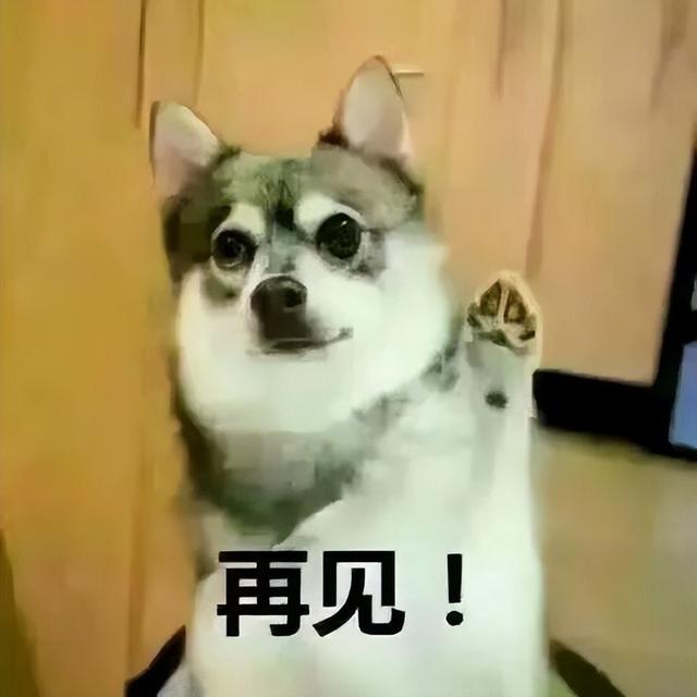 日本年輕女性在SNS上售賣(mài)自己用過(guò)的口罩，網(wǎng)友：細(xì)菌傳播新途徑