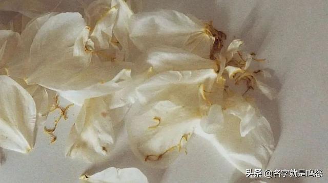穿丁字褲的女生，一定不檢點(diǎn)？