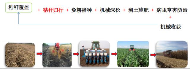 全量全速公司官網（全速 公司）