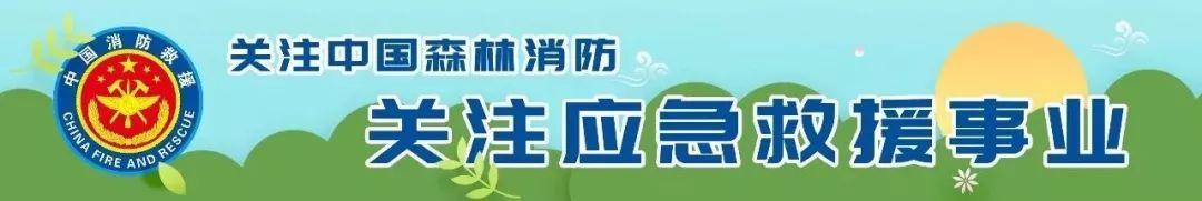多彩匯女包多少錢(qián)一個(gè)帆布包（多彩匯女包怎么樣）