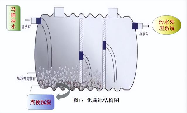 胰酪大豆胨怎么讀，胨怎么讀音？