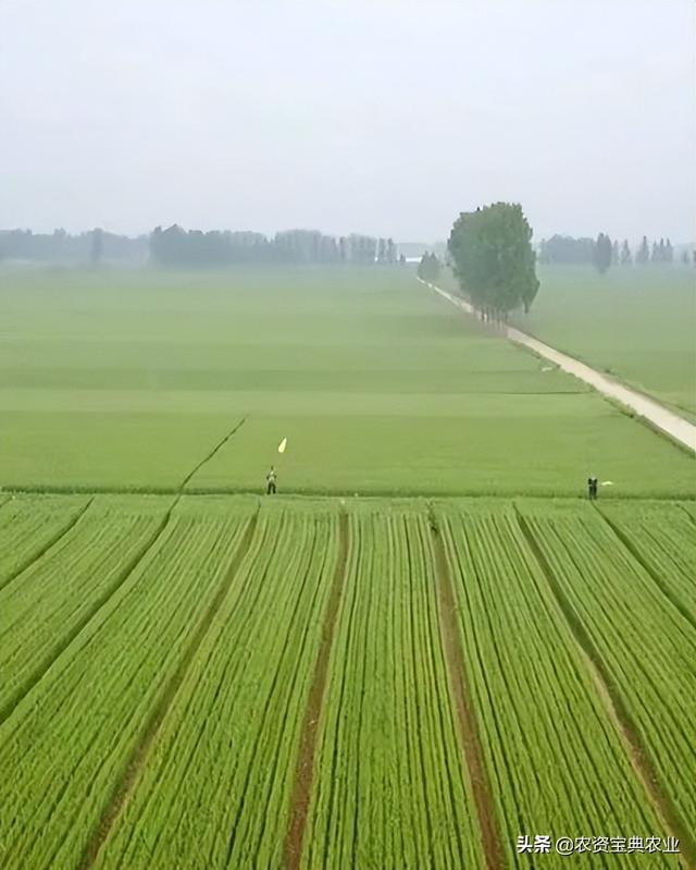 昆侖代理注冊(cè)，昆侖有限公司？