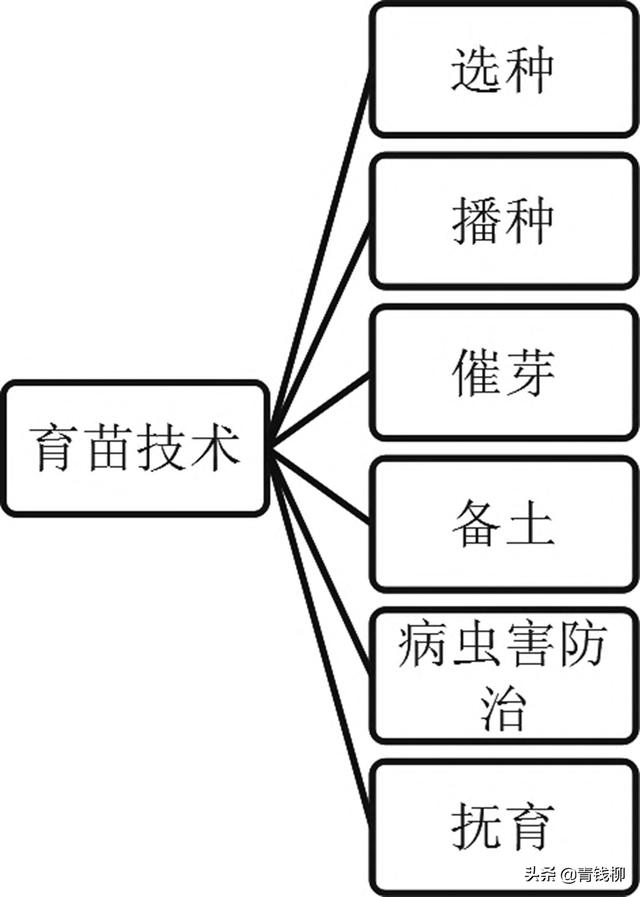 對硝基氯甲苯結構，對氯間硝基苯甲酸結構式？