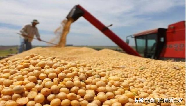 進口大豆價格最新行情2021，進口大豆價格最新行情2020？