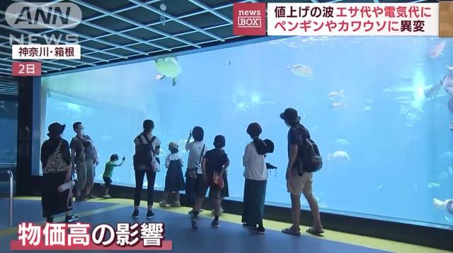 日生高級(jí)水族箱，日升水族箱廠家官網(wǎng)？