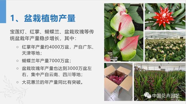 廣州花卉批發(fā)市場進(jìn)貨渠道有哪些（廣州花卉批發(fā)市場進(jìn)貨渠道在哪）