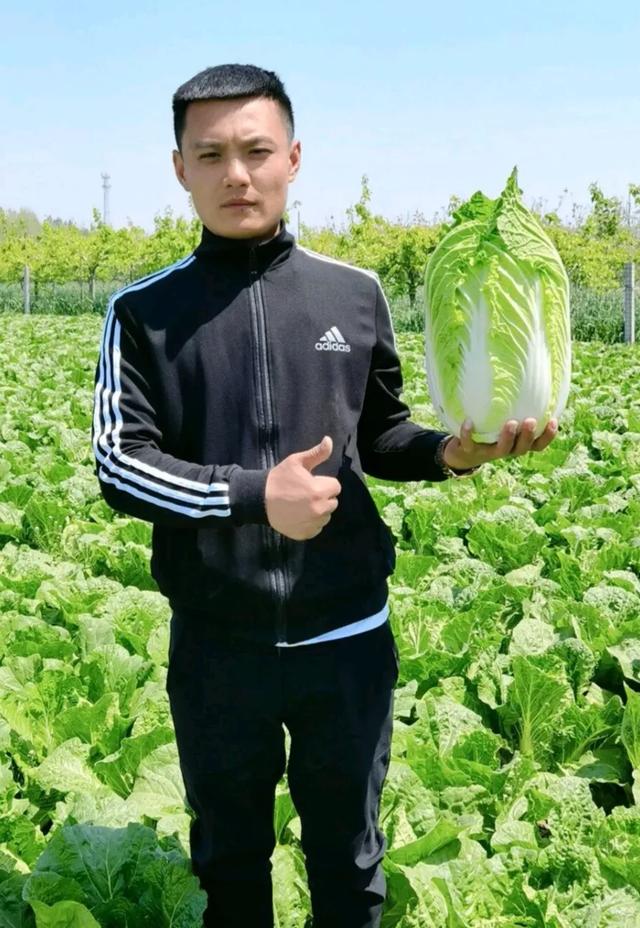 市場(chǎng)賣青菜一天賺多少錢（批發(fā)青菜賺錢嗎）