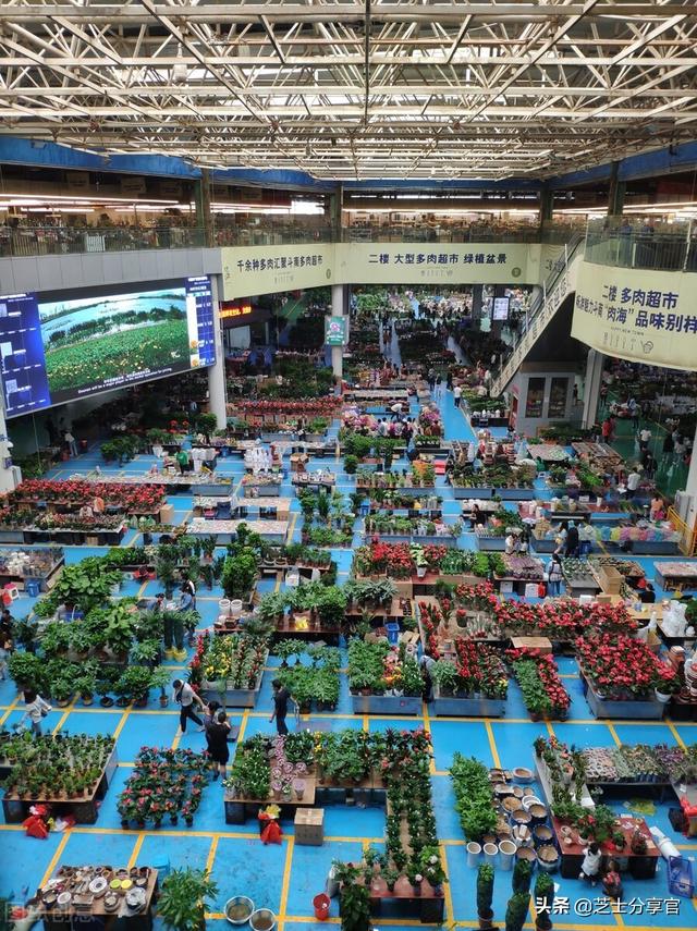 昆明鮮花批發(fā)市場(chǎng)地址，昆明鮮花批發(fā)市場(chǎng)地址電話？