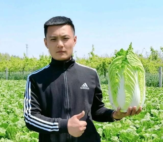 蔬菜批發(fā)新手如何進貨，長沙蔬菜在哪里進貨？