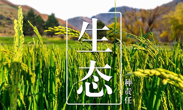 大米批發(fā)進貨渠道電話，大米批發(fā)進貨渠道電話號碼？