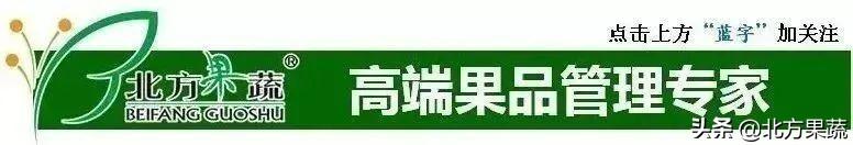 果樹苗批發(fā)基地三年苗各種苗大全價(jià)格，哪里有果樹苗批發(fā)基地？