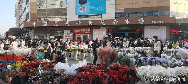 云南花卉批發(fā)基地在哪里，云南花卉批發(fā)基地在哪里有？