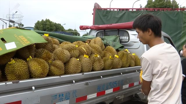 榴蓮批發(fā)市場(chǎng)進(jìn)貨渠道，泰國(guó)榴蓮批發(fā)市場(chǎng)進(jìn)貨渠道