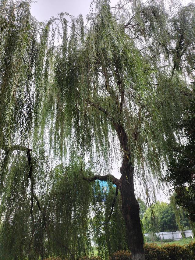 地?cái)偨?jīng)濟(jì)是一種什么經(jīng)濟(jì)，地?cái)偨?jīng)濟(jì)有何意義