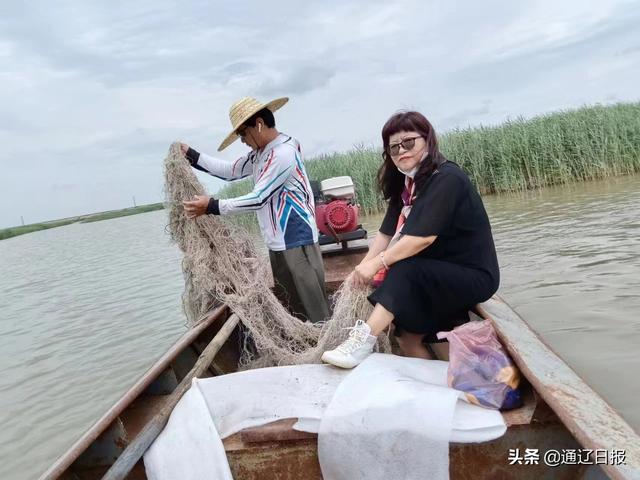 供應(yīng)批發(fā)蘆葦種苗廠家，供應(yīng)批發(fā)蘆葦種苗廠家電話