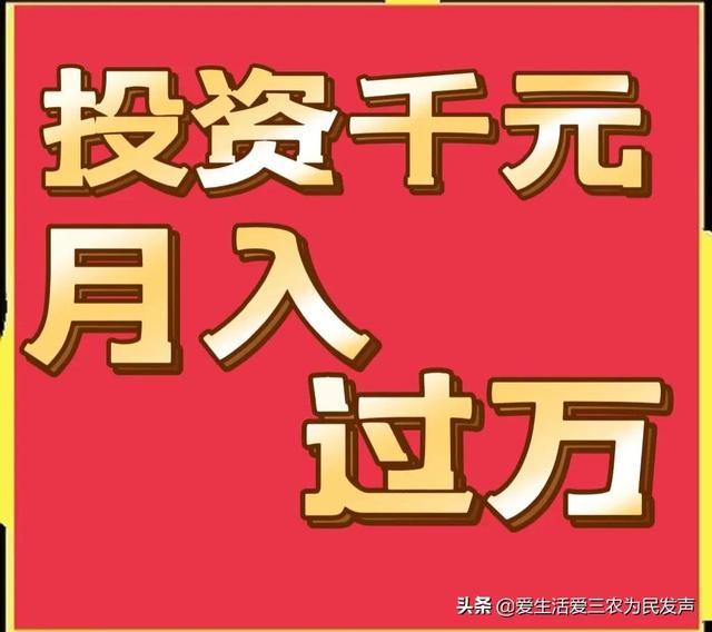 跑江湖地?cái)傂庐a(chǎn)品，跑江湖地?cái)傂庐a(chǎn)品怎么做