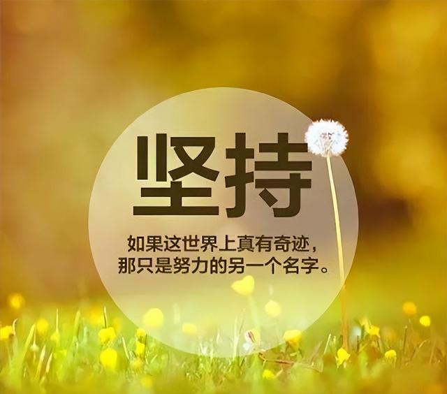 拼多多無貨源如何開網(wǎng)店全套教程，拼多多無貨源如何開網(wǎng)店全套教程推薦多多大師