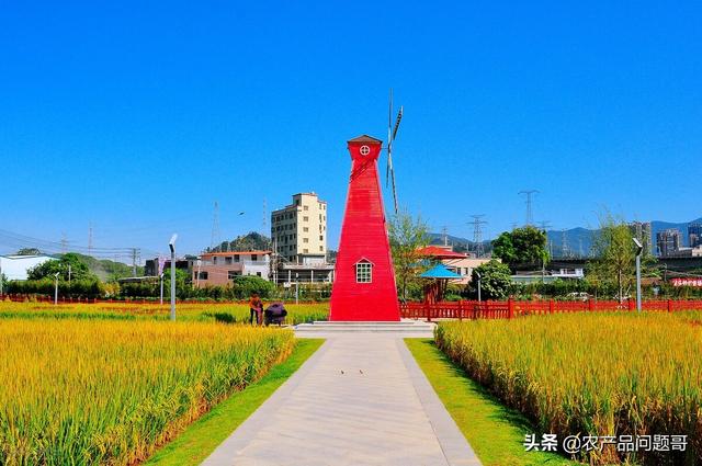 農(nóng)產(chǎn)品一手貨源批發(fā)網(wǎng)包郵,最便宜的最近的，農(nóng)產(chǎn)品批發(fā)網(wǎng)哪個(gè)便宜