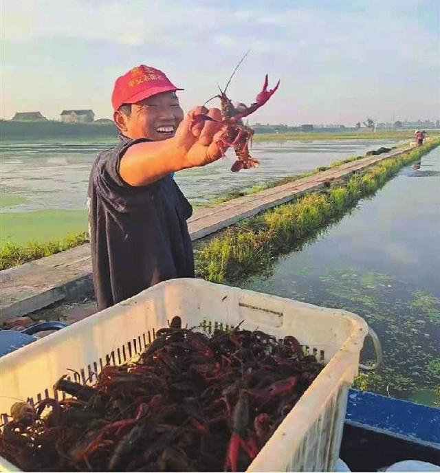 在家做手工貨源從哪找許昌有沒有，許昌手工活外發(fā)_廠家怎么找