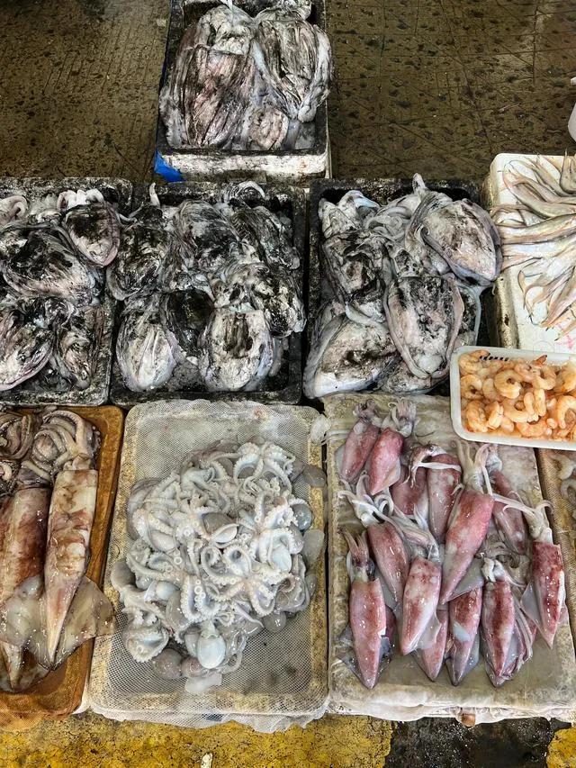 活海鮮批發(fā)一手貨源在哪里四川達(dá)州，達(dá)州哪里在買活海鮮？