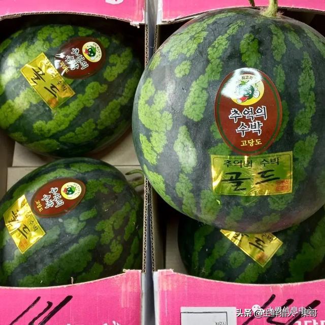 想賣水果怎么找貨源高州地區(qū)，想賣水果怎么找貨源高州地區(qū)的？