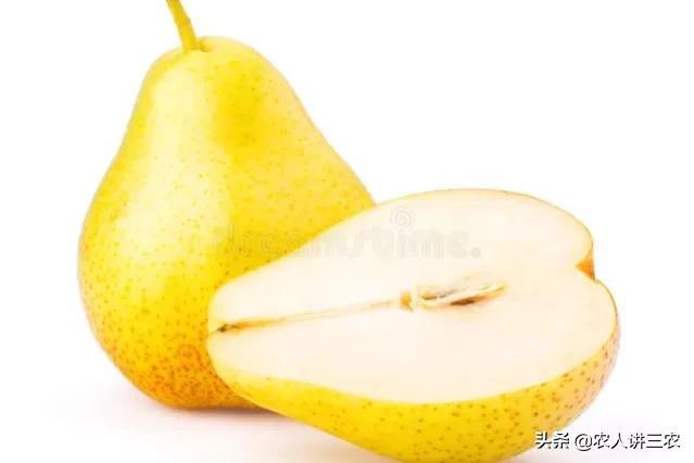 蘋果批發(fā)價格多少錢一斤算不貴，蘋果市場價格多少錢一斤？