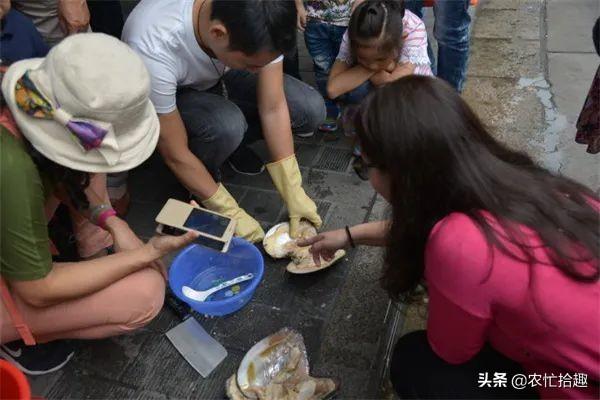 珍珠批發(fā)一手貨源在哪里拿貨，全國(guó)珍珠批發(fā)一手貨源在哪里？
