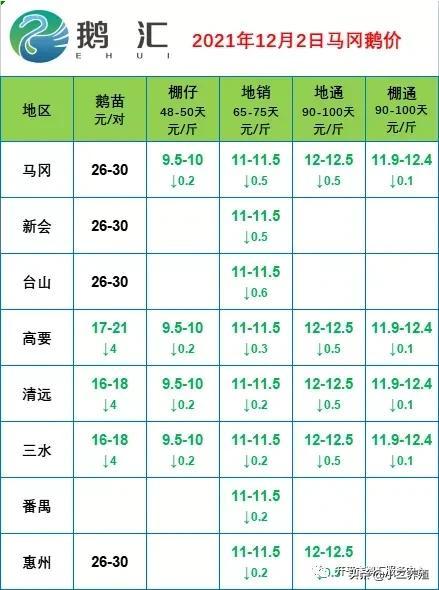 正規(guī)鵝苗基地，正規(guī)鵝苗基地重慶？