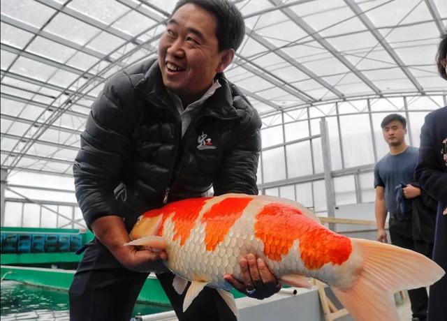 觀賞魚批發(fā)從哪里進(jìn)貨最便宜_汕頭市，汕頭觀賞魚批發(fā)市場(chǎng)在哪里？