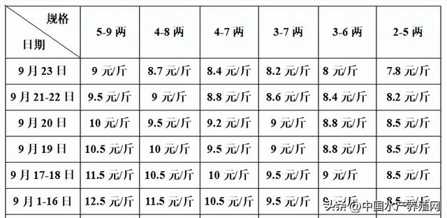 牛蛙批發(fā)價多少錢一只，牛蛙多少錢一斤市場價格？