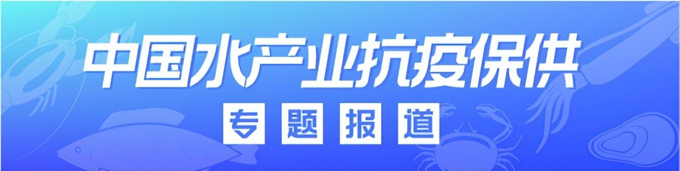 本地魚苗批發(fā)在哪里進(jìn)貨好，本地魚苗批發(fā)在哪里進(jìn)貨便宜？