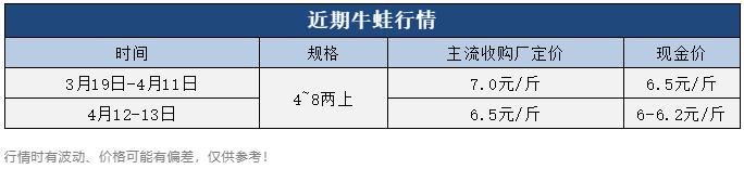 牛蛙價格現(xiàn)在多少錢一公斤，鮮活牛蛙批發(fā)價多少錢一斤？