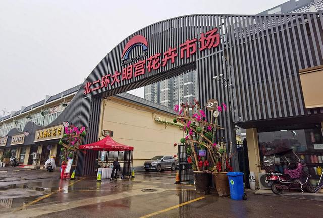 廣州花卉市場(chǎng)批發(fā)在哪里進(jìn)，廣州花卉市場(chǎng)批發(fā)在哪里賣？