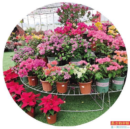 花卉批發(fā)市場(chǎng)進(jìn)貨渠道，廣州花卉批發(fā)市場(chǎng)進(jìn)貨渠道？