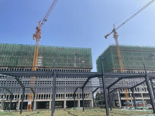 花卉批發(fā)市場(chǎng)進(jìn)貨渠道仁壽，花卉批發(fā)市場(chǎng)進(jìn)貨渠道鄭州？