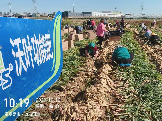 南寧肥料批發(fā)市場(chǎng)，南寧肥料廠家？