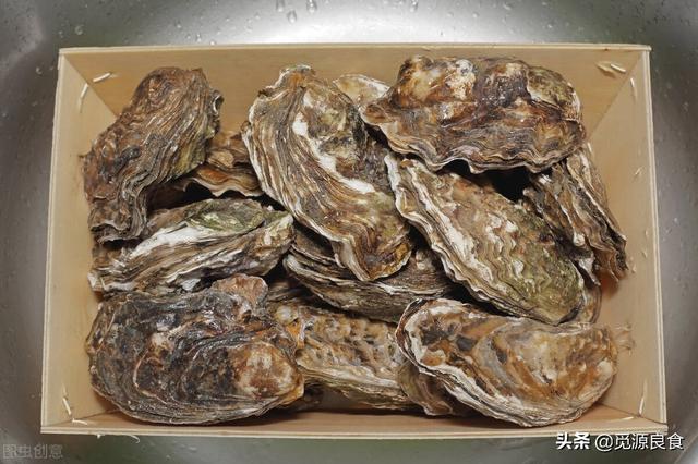 福建生蠔批發(fā)一手貨源，生蠔批發(fā)一手貨源多少錢一噸？