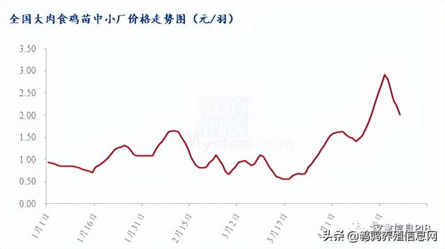 哪里有土雞苗批發(fā)，本地土雞苗批發(fā)市場(chǎng)？