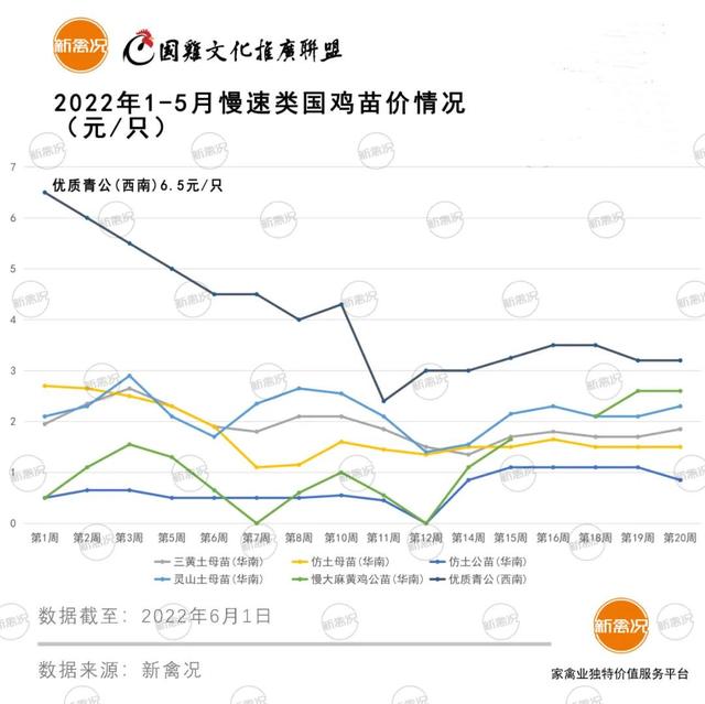土雞苗批發(fā)市場(chǎng)在哪里，土雞苗批發(fā)市場(chǎng)在哪里的？