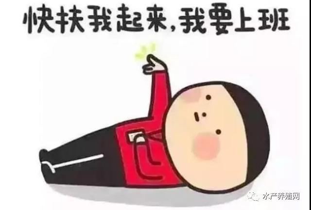 魚苗批發(fā)基地_批發(fā)市場，58同城魚苗批發(fā)？