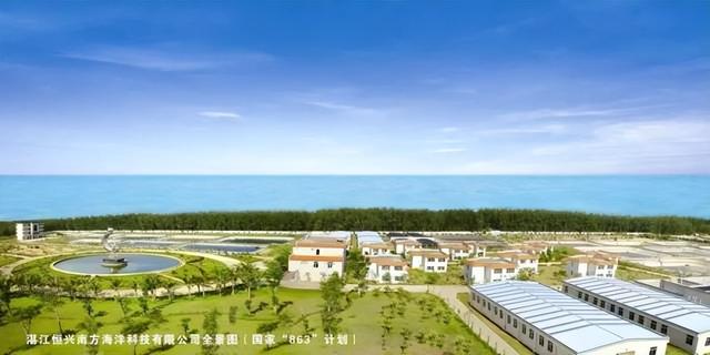 河蝦苗批發(fā)蝦苗基地，哪里批發(fā)蝦苗？