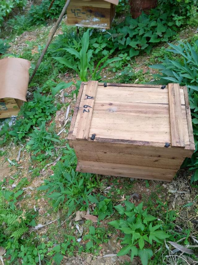 蜂箱批發(fā)30元兩頭開蜂箱，蜂箱批發(fā)30元兩頭開蜂箱好嗎？